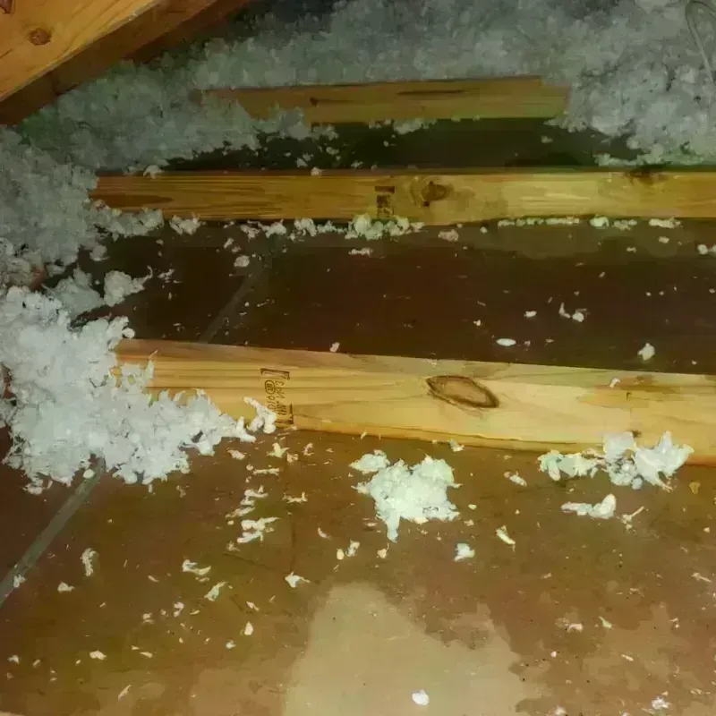 Attic Water Damage in Starksboro, VT